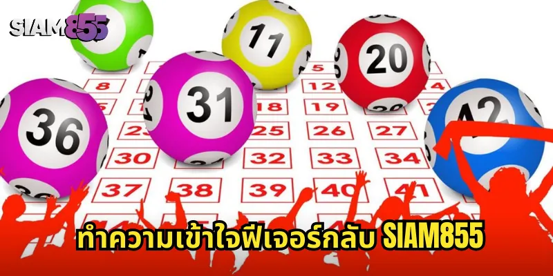 ทำความเข้าใจฟีเจอร์กลับ SIAM855
